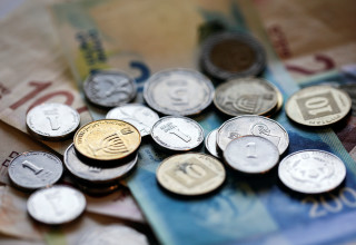 שקלים (צילום: REUTERS/Nir Elias/Illustration)