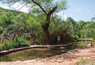 שמורת טבע נחל עיון (צילום: גלית רוזן)