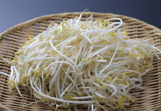 נבטים חיים (צילום: אינגאימג')