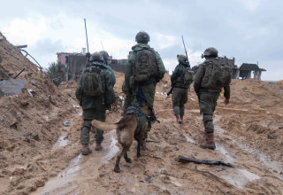 פעילות כוחות חטיבת כפיר בבית חאנון: (צילום: דובר צה"ל)