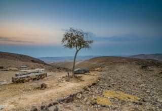 מצפה גורני, ערד (צילום: איל תמיר)