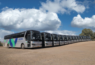 סופרבוס (צילום: רונן טופלברג)