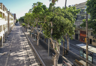 שדרות ירושלים בתל אביב (צילום:  עיריית תל אביב – יפו וחברת נת"ע)