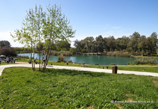 טיולי אופניים בשבילי נחל הירקון (צילום: אברהם רונקו)