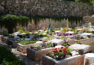 קברי חללי צה"ל בהר הרצל (צילום: אגף דוברות וקשרי ציבור במשרד הביטחון)