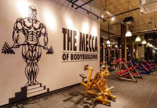 goldsgym  (צילום:  יח"צ)