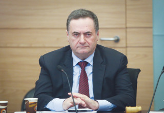 ישראל כץ (צילום: פלאש 90)