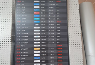 ביטולי טיסות (צילום: משה כהן)