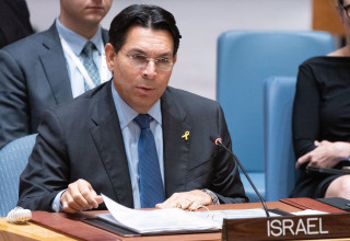 דני דנון בדיון במועצת הביטחון של האו"ם (צילום: Evan Schneider/un photo)