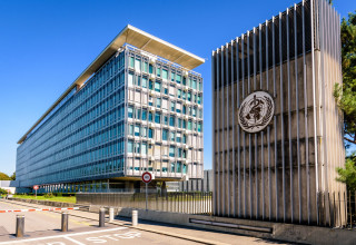 ארגון הבריאות העולמי WHO (צילום: שאטרסטוק)