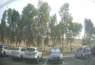 תושב דימונה פורץ לרכבים (צילום: דוברות המשטרה)