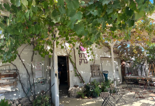 כרם ברק (צילום: ילום ענבל אוזן)