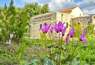 חאן שער הגיא (צילום: יניב כהן, רשות הטבע והגנים)
