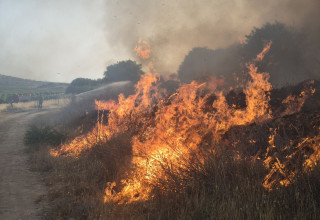 השריפה סמוך למודיעין (צילום: כבאות והצלה מחוז מרכז)