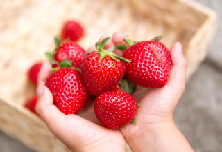 תותים: מועילים לבריאות הלב (צילום: iStock)