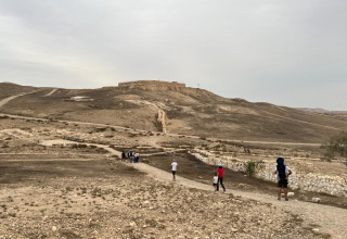 תל ערד (צילום: רשות הטבע והגנים,חגי דביר)