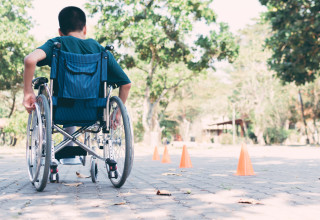 כיסא גלגלים (צילום: שאטרסטוק)