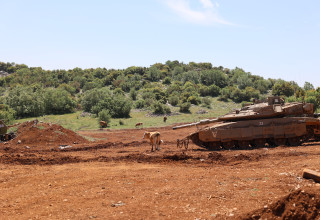 סקר צומח הר דב (בקעת אגס) (צילום: שי אייזקס, רשות הטבע והגנים )