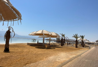 חוף ים המלח כמעט ריק מאנשים (צילום: פלד ארבלי)