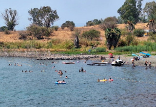 נופשים בחוף מפרץ אמנון בכינרת (צילום: אושרי בן דור, איגוד ערים כינרת)