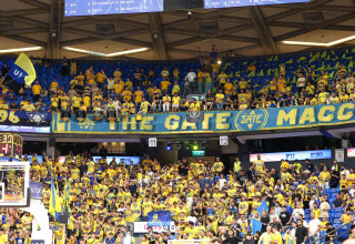 אוהדי מכבי תל אביב (צילום: דני מרון)