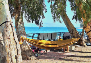 אנשים נופשים לצד חופי הכינרת (צילום: אושרי בן דור, איגוד ערים כנרת)
