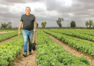 אבי פרחי (צילום: יוסי אלוני)