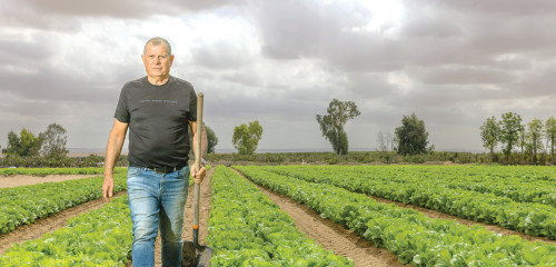 אבי פרחי (צילום: יוסי אלוני)