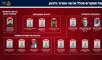 חיסול מפקדים מכלל ארגוני הטרור בלבנון במהלך מבצע "שאגת הארי" (צילום: דובר צה"ל)