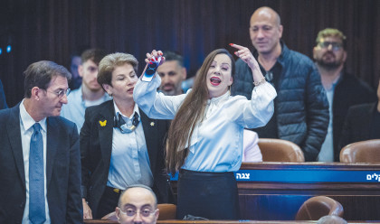 טלי גוטליב (צילום: חיים גולדברג פלאש 90)