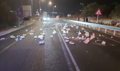אבנים על הכביש (צילום: שימוש לפי סעיף 27א')