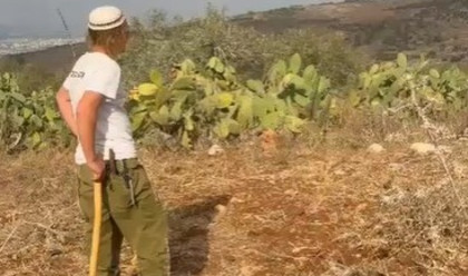 אירוע אלימות בשומרון (צילום: שימוש לפי סעיף 27א')