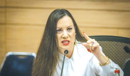 טלי גוטליב (צילום: חיים גולדברג, פלאש 90)