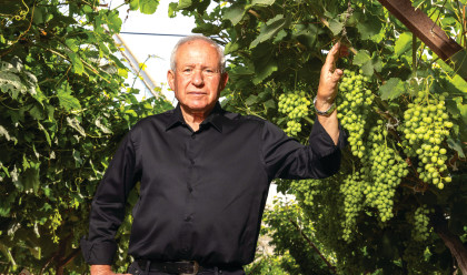 אבי דיכטר (צילום: יוסי אלוני, פלאש 90)
