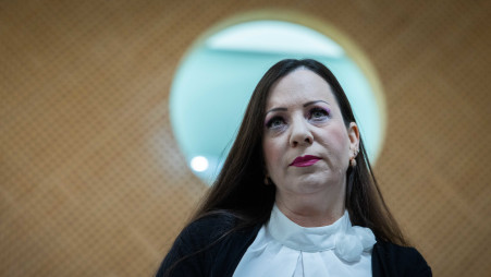 טלי גוטליב בבית המשפט העליון (צילום: יונתן זינדל פלאש 90)