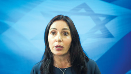 מירי רגב  (צילום: מרק ישראל סלם)