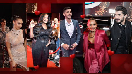 האח הגדול (צילום: אריאל שלום)