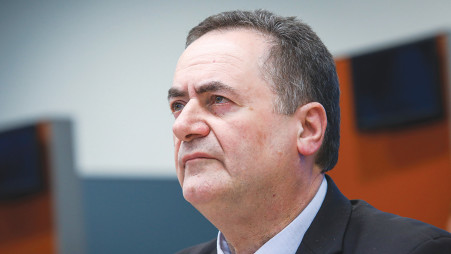 ישראל כץ (צילום: פלאש 90)