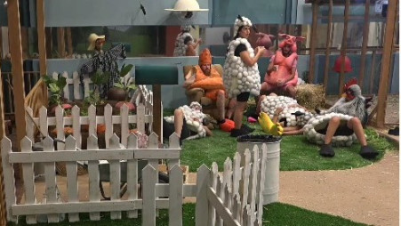 הדיירים מבחינים ברחפן מעל בית האח הגדול (צילום: ערוץ 26)