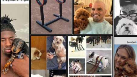 עמותת "תנו לחיות לחיות" תוקפת את כוכבי הביצה (צילום: צילום מסך אינסטגרם)