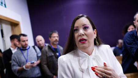 טלי גוטליב (צילום: חיים גולדברג, פלאש 90)