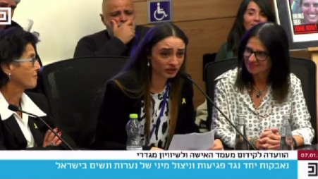 טאיסיה זמולוצקי בדיון בכנסת (צילום: ערוץ הכנסת)