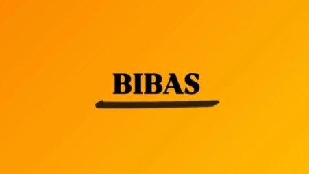 הסטורי של נייט בוזוליק (צילום: מתוך אינסטגרם)