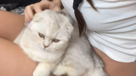 גל גברעם (צילום: צילום מסך אינסטגרם)