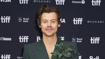 הארי סטיילס (צילום: GEOFF ROBINS/AFP via Getty Images)