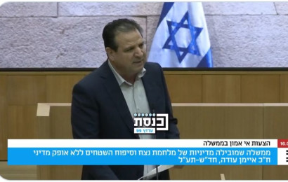 איימן עודה בכנסת (צילום: צילום מסך מערוץ הכנסת)