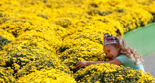 ילדה עומדת ליד מרבד פרחים (צילום: רויטרס)