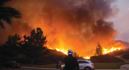 שריפות באוסטרליה (צילום: רויטרס)
