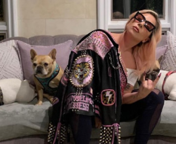 ליידי גאגא צילום מסך אינסטגרם