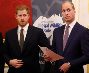 הנסיך וויליאם, הנסיך הארי Dan Kitwood - WPA Pool/Getty Images